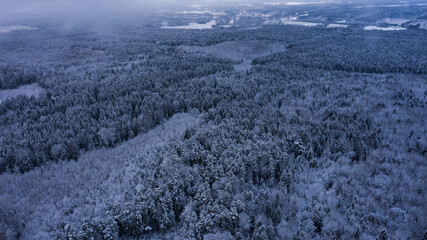 beautiful view of the endless winter forest bird view