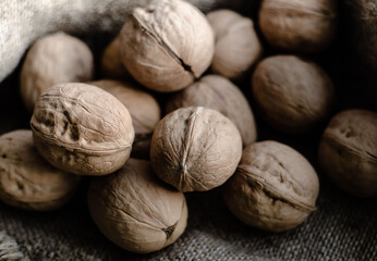 Walnuts lie in  heap on  gray background of coarse burlap