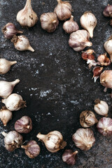 Lot garlic on blue background. Free place.