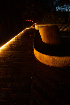 The Noosa Boardwalk At Night In Queensland, Australia.