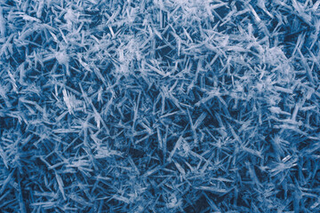 Frozen ice crystals on a dark blue background