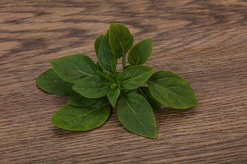 Aroma seasoning - Green Basil leaves