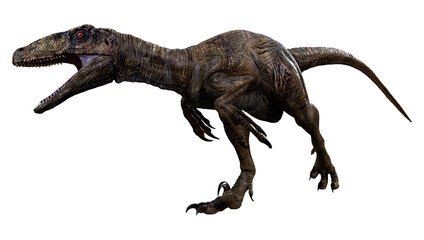 Obraz na płótnie Canvas 3D Rendering Dinosaur Deinonychus on White