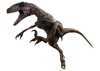 3D Rendering Dinosaur Deinonychus on White