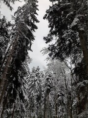 Baden-W&uuml;rttemberg