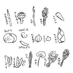 春野菜の線画イラスト