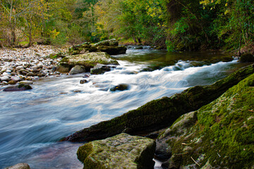 Ribera del rio con los colores de otoño