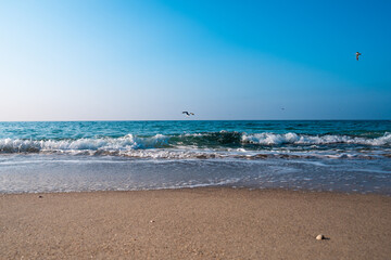 Seascape. Waves running on the sandy shore. Shore of the sea or ocean on a nice day. Vacation and relaxation by the sea.