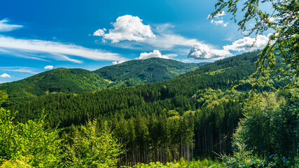 Germany, Schwarzwald, Green tree covered mountains with blue sky in summer in untouched nature landscape near Gschasikopf peak © Simon Dux Media