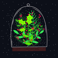 Naklejka premium New Year, Christmas concept, green house and terrarium with spruce and holly branches, it is snowing, dark background. Vector illustration