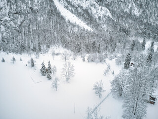 View from above on the snow-capped mountains