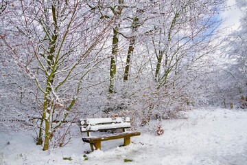 Winterlandschaft