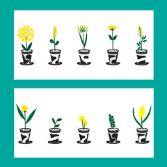 Collection of flowers pots, hand drawn design.