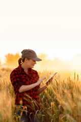 A woman farmer examines the field of cereals and sends data to the cloud from the tablet. Smart...