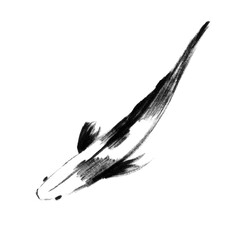 Sketch of japanese koi fish, top view