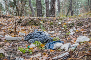 Garbage in pine forest. People illegally thrown garbage into forest. Concept of man and nature....