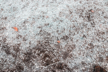 Cracked ice on concrete with yellow leaves. Yellow leaves and concrete can be seen under the cracked ice