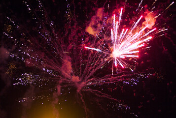 Fireworks in the night sky