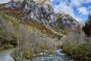 Autumn foliage in the mountain landscape