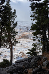 Unity with nature. Green spruce branches and snow capped mountains in background. Evergreens, winter coniferous forest. Vertical picture.