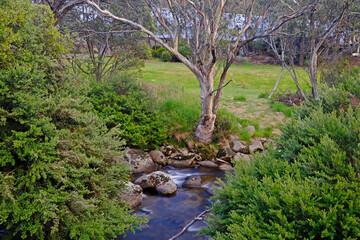 River Walk in Thredbo, Snowy Mountain NSW Australia in Summer
