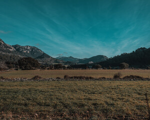 Orange-teal Mallorca
