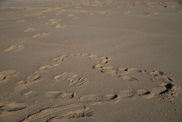 heart on the beach sand