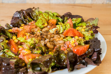 salad with nuts, lettuce, tomato and vinegar