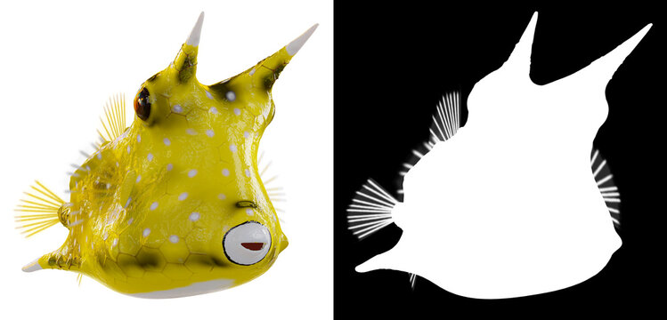 3d rendering of Longhorn cowfish, isolated on white background with luma matte section.