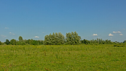 Sunny meadows with trees under a clear blue sky in Kalkense Meersen nature reserve, Flanders, Belgium