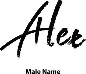 Alex-Male Name Handwritten Brush Typography Text - obrazy, fototapety, plakaty