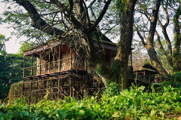 house in the woods