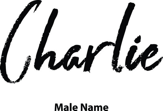 Charlie male Name Brush Typography in Brown Color Text