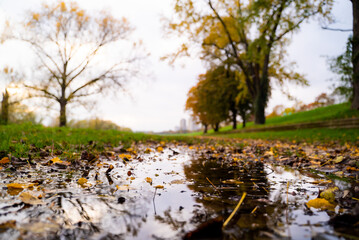 Fototapeta premium Image of water pound at park, Zagreb, Croatia.