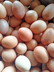 close up of eggs