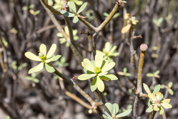 Wandern auf La Gomera