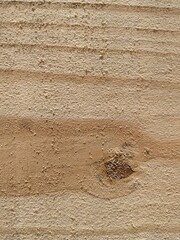 Pinus wood texture with a knot and dirty