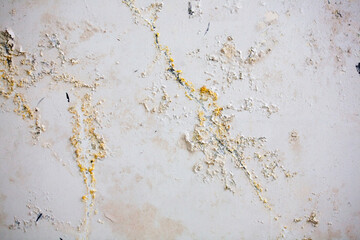Background, white wall covered with mold