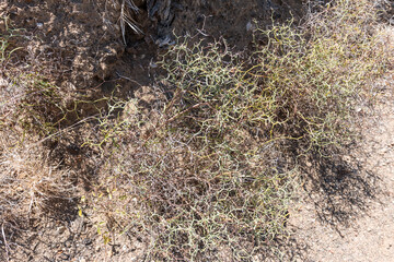 Wandern auf La Gomera