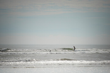 穏やかなビーチ