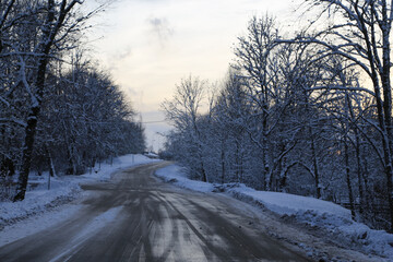 winter road in the forest