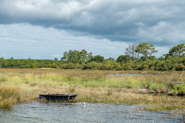 BASSIN D'ARCACHON (Gironde, France). Les prés salés de Lège-Arès