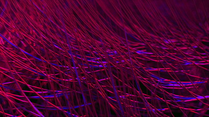 Close-up surface covered with colored long, hard hairs. Computer generated abstract background, 3d rendering