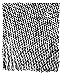 Reptile skin. Animal print background. © abeadev