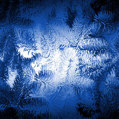 Blue white leaves, pine tree christmas background with snowflakes