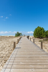 BISCARROSSE (Landes, France), vue sur les dunes