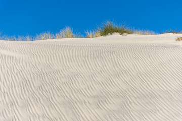 BISCARROSSE (Landes, France), vue sur les dunes