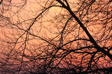 beautiful evening glow or dawn 