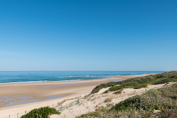 Fototapeta na wymiar BISCARROSSE (Landes, France), vue sur la plage