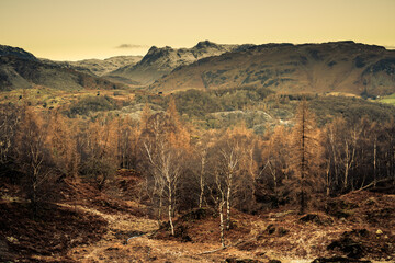 Holme Fell and Langdale